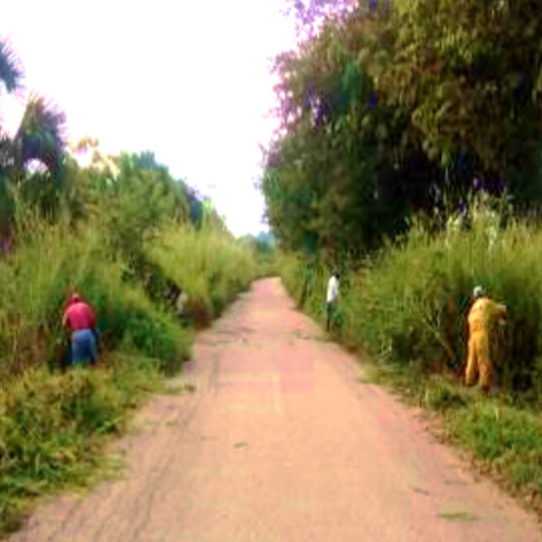 uumbal_social_limpieza-caminos uumbal_social_limpieza-caminos